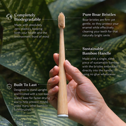 RELORA Boar Bristle & Bamboo Toothbrush (4 Pack)